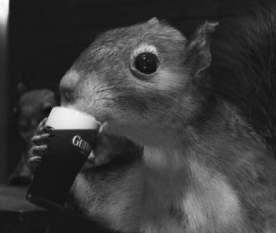 0b2255540ca4202a1796c0f46c140fa428b0810_