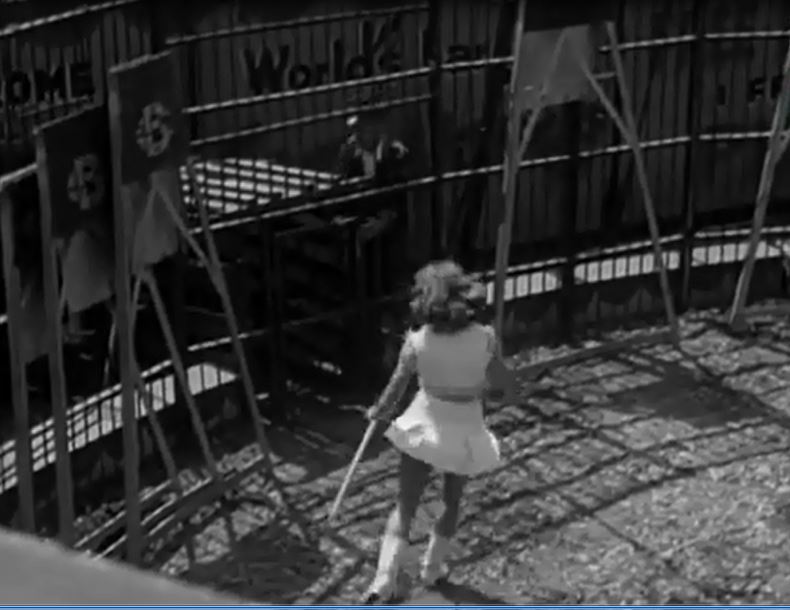 Lion kills male tigers - wildanimalwarfare