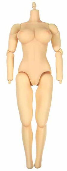 1/6 Base Bodies Guide: Males & Females (UPDATED 4/3/14)! 8c236de26e9ce8b25c1a0d7b448d4b9189c95f63_r